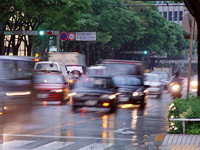 火災保険・自動車保険